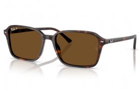 Ray-Ban Raimond RB 2231 902/57