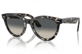 Ray-Ban Wayfarer Way RB 2241 133371