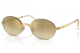 Ray-Ban x A$AP Rocky RB 3929 001/7I