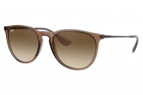 Ray-Ban Erika RB 4171 651413