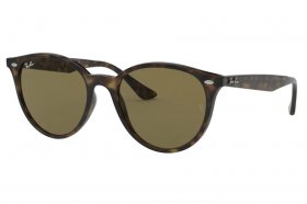 Ray-Ban RB 4305 710/73