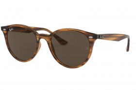 Ray-Ban RB 4305 820/73