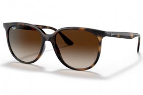 Ray-Ban RB 4378 710/13