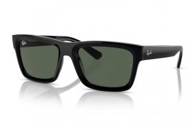 Ray-Ban Warren RB 4396 667771