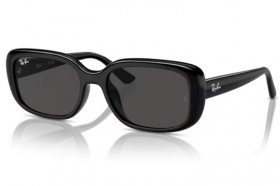 Ray-Ban RB 4421D 667787