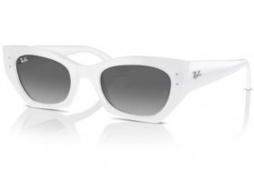 Ray-Ban Zena RB 4430 675911