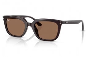 Ray-Ban RB 4439D 623173