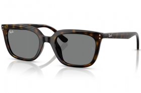 Ray-Ban RB 4439D 710/87