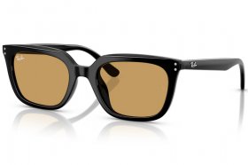 Ray-Ban RB 4439D 901/73