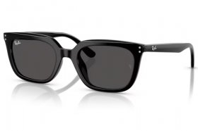 Ray-Ban RB 4439D 901/87