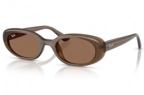 Ray-Ban RB 4441D 677973