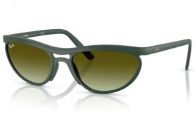 Ray-Ban RB 4453 6016E8