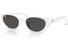Ray-Ban RB 4457D 677287
