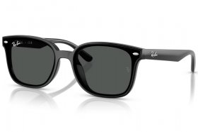 Ray-Ban RB 4461D 601/87