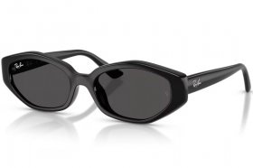 Ray-Ban RB 4473D 667787