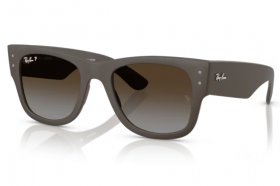 Ray-Ban RB 4840S 6124T5