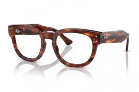 Ray-Ban Mega Hawkeye RX 0298V 2144