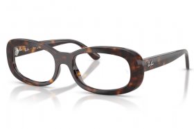 Ray-Ban RX 2221V 2012