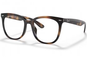 Ray-Ban RX 4379VD 2012