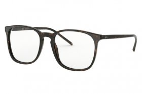 Ray-Ban RX 5387 2012