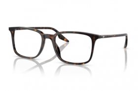 Ray-Ban RX 5421 2012