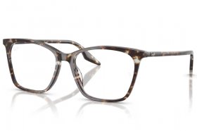 Ray-Ban RX 5422 8425