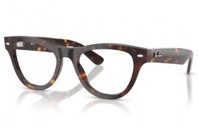 Ray-Ban RX 5510 2012