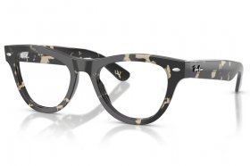 Ray-Ban RX 5510 8117