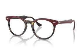 Ray-Ban Eagleeye RX 5598 8250