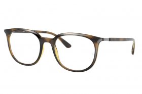 Ray-Ban RX 7190 2012