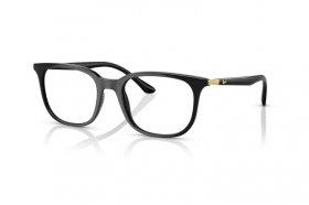 Ray-Ban RX 7211 2000