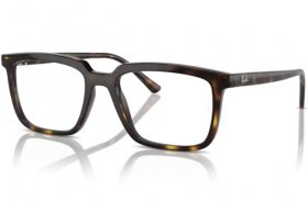 Ray-Ban Alain RX 7239 2012