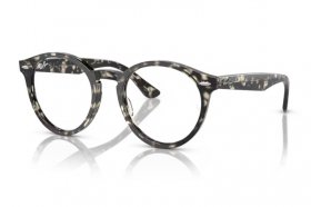 Ray-Ban Larry RX 7680V 8117