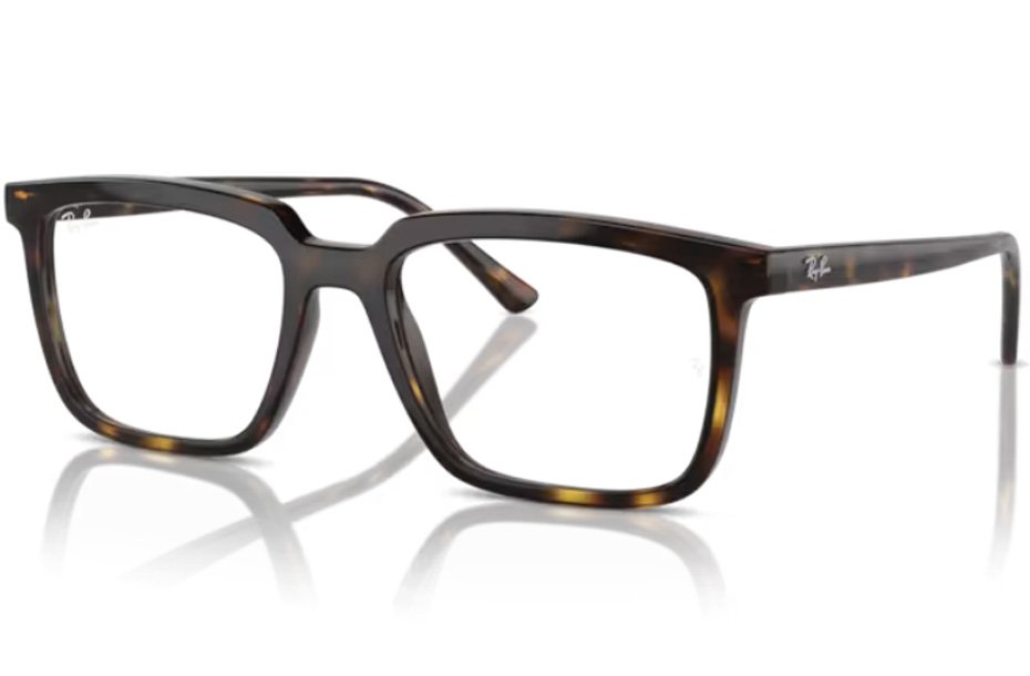 Ray-Ban Alain RX 7239 2012
