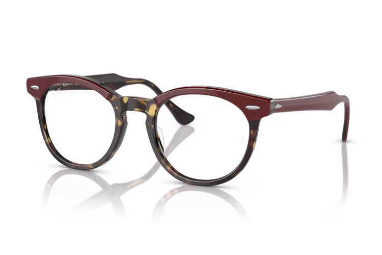 Ray-Ban Eagleeye RX 5598 8250