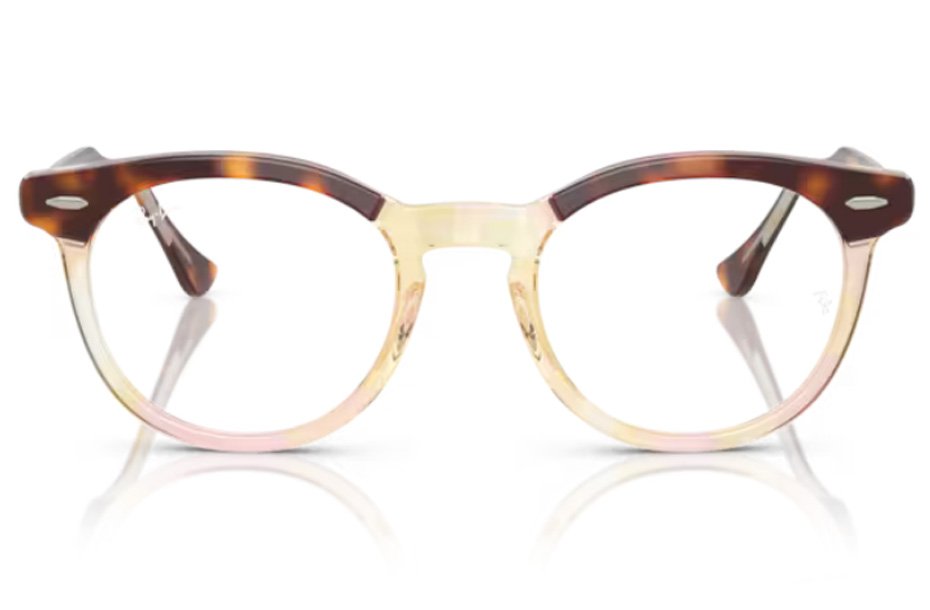 Ray Ban R&b 8402 Ray-Ban RX 5598 8402