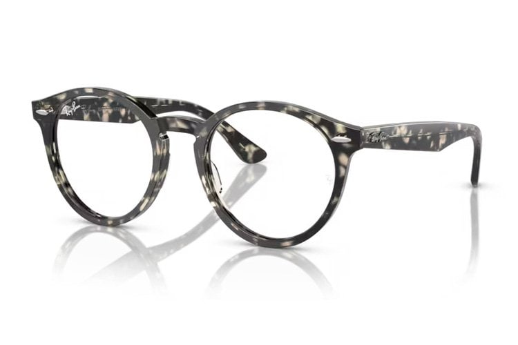Ray-Ban Larry RX 7680V 8117