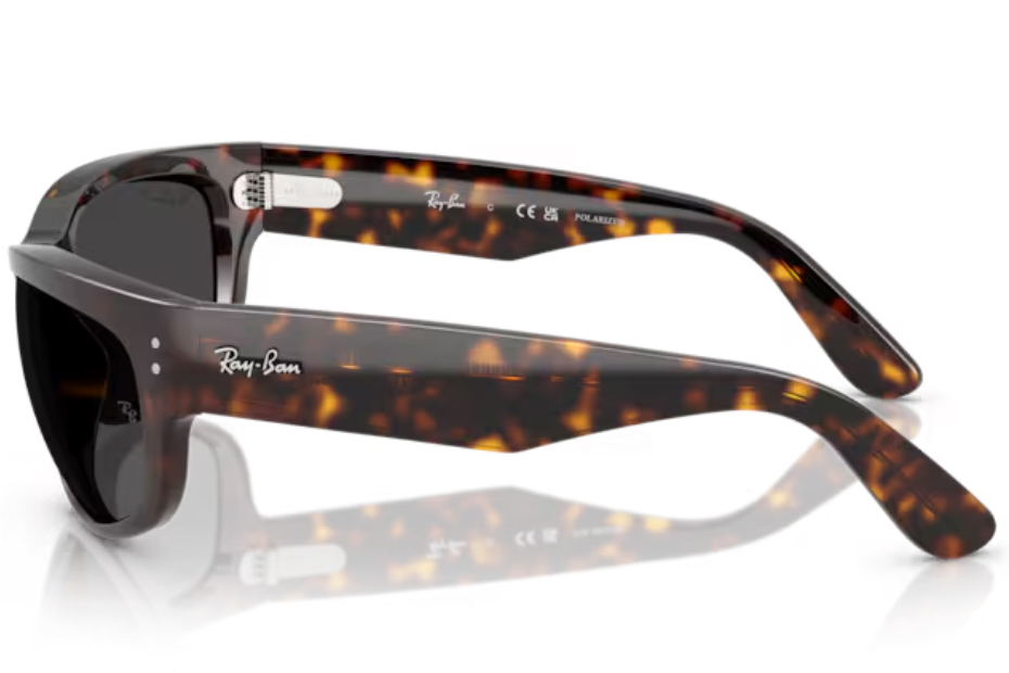 Ray-Ban RB 2289 902/48