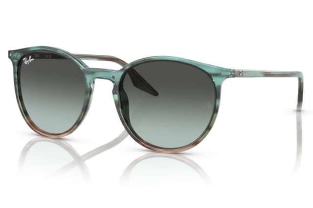 Ray-Ban RB 2204 1394GK