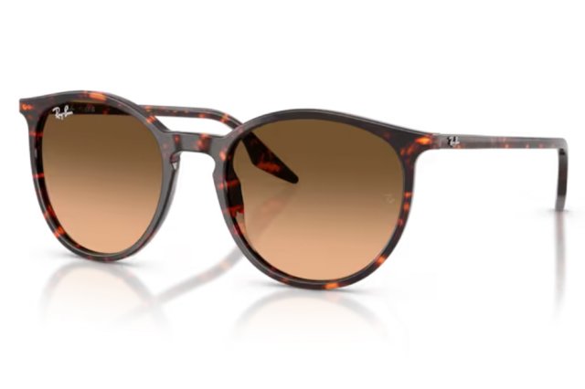 Ray-Ban RB 2204 14293B