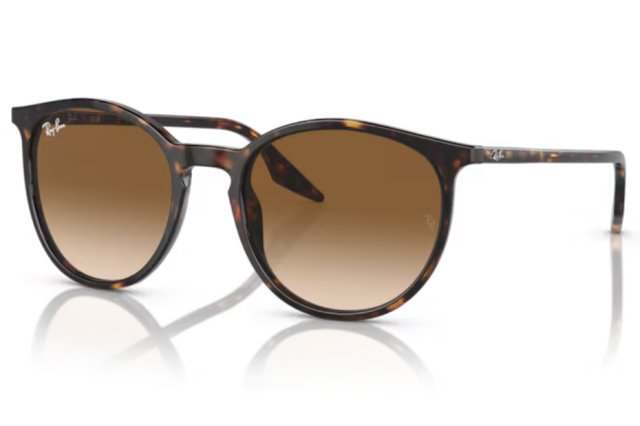 Ray-Ban RB 2204 902/51