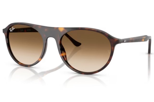 Ray-Ban RB 2215 902/51