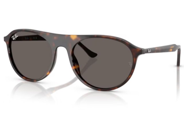 Ray-Ban RB 2215 902/B1