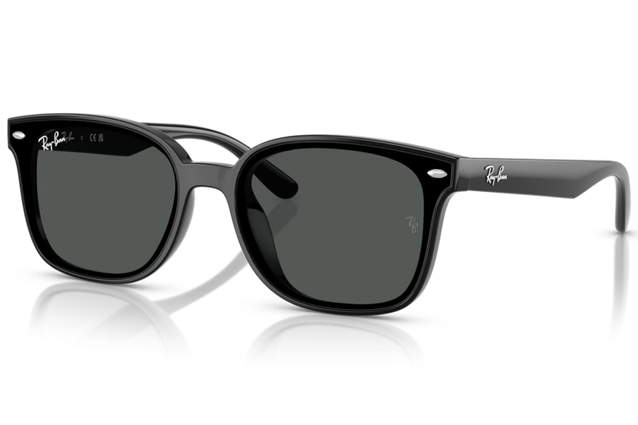 Ray-Ban RB 4461D 601/87