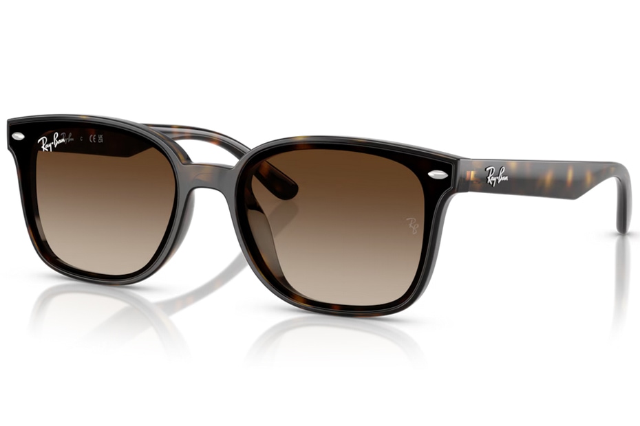 Ray-Ban RB 4461D 710/13