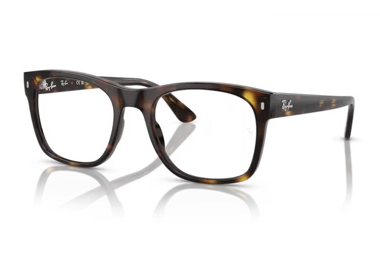 Ray-Ban RX 7228 2012