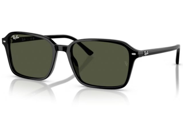Ray-Ban Raimond RB 2231 901/31