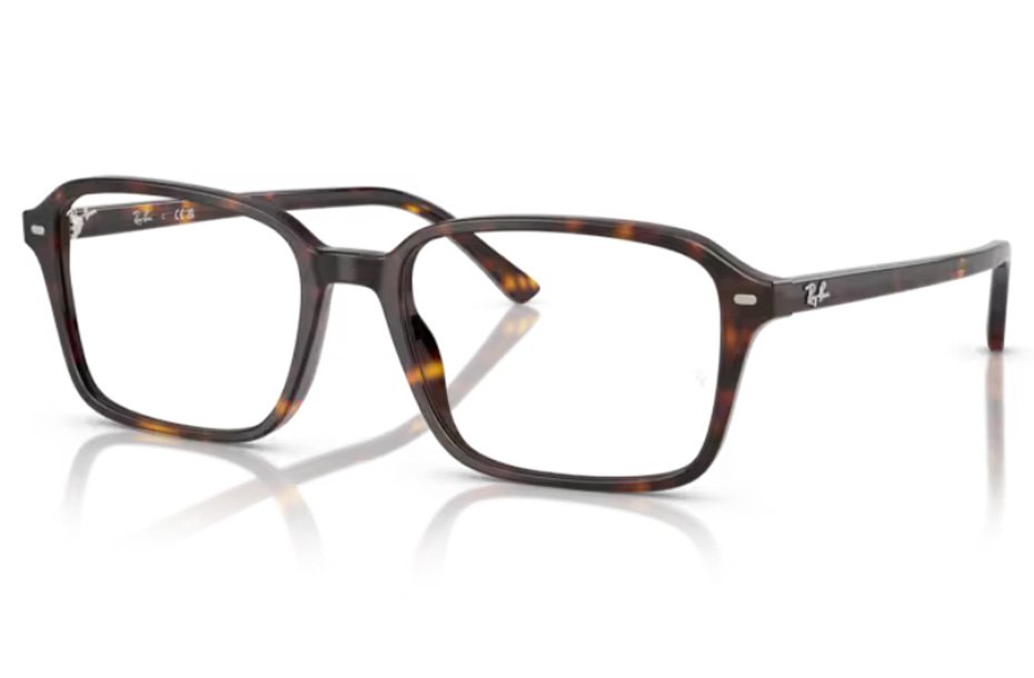 Ray-Ban Raimond RX 5431 2012
