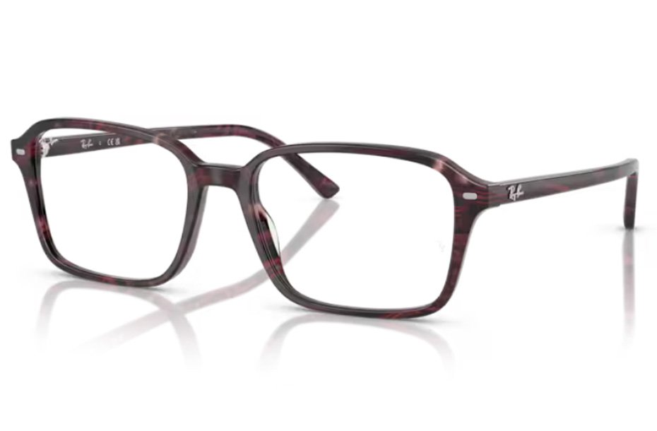 Ray-Ban Raimond RX 5431 8393