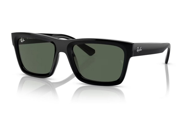 Ray-Ban Warren RB 4396 667771